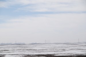 Windmills again.  We counted over 100 just in this one field.  