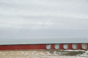 Poultry or some kind 