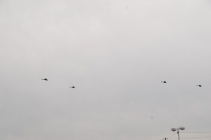 Helicopters flying around Nashville.  