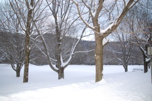 Snow at the rest area.  Picnic anyone? 