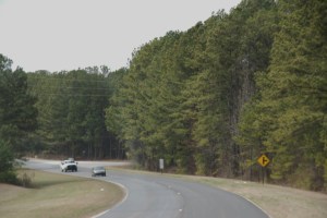 We decided to go down a country road to Alabama instead of highway.  