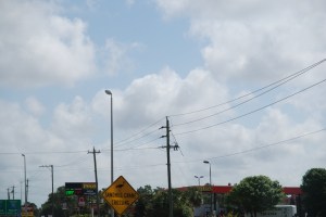 Only in Florida do you have a caution sign for Sand Hill Cranes.  