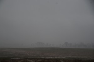 Fog in Paduca, Kentucky