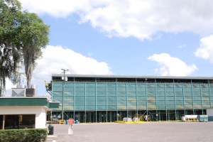 Look at all those oranges!