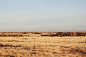 Sunrise in the Arizona desert