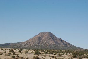 Is it just me or does this look like an octopus head? 